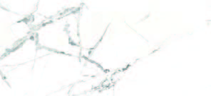 Linum White White