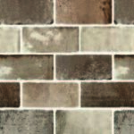 Brick Road Maple