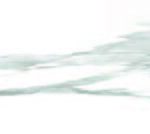 Carrara White