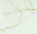 Marmo White + Gold
