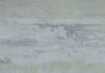 Tundra Beige