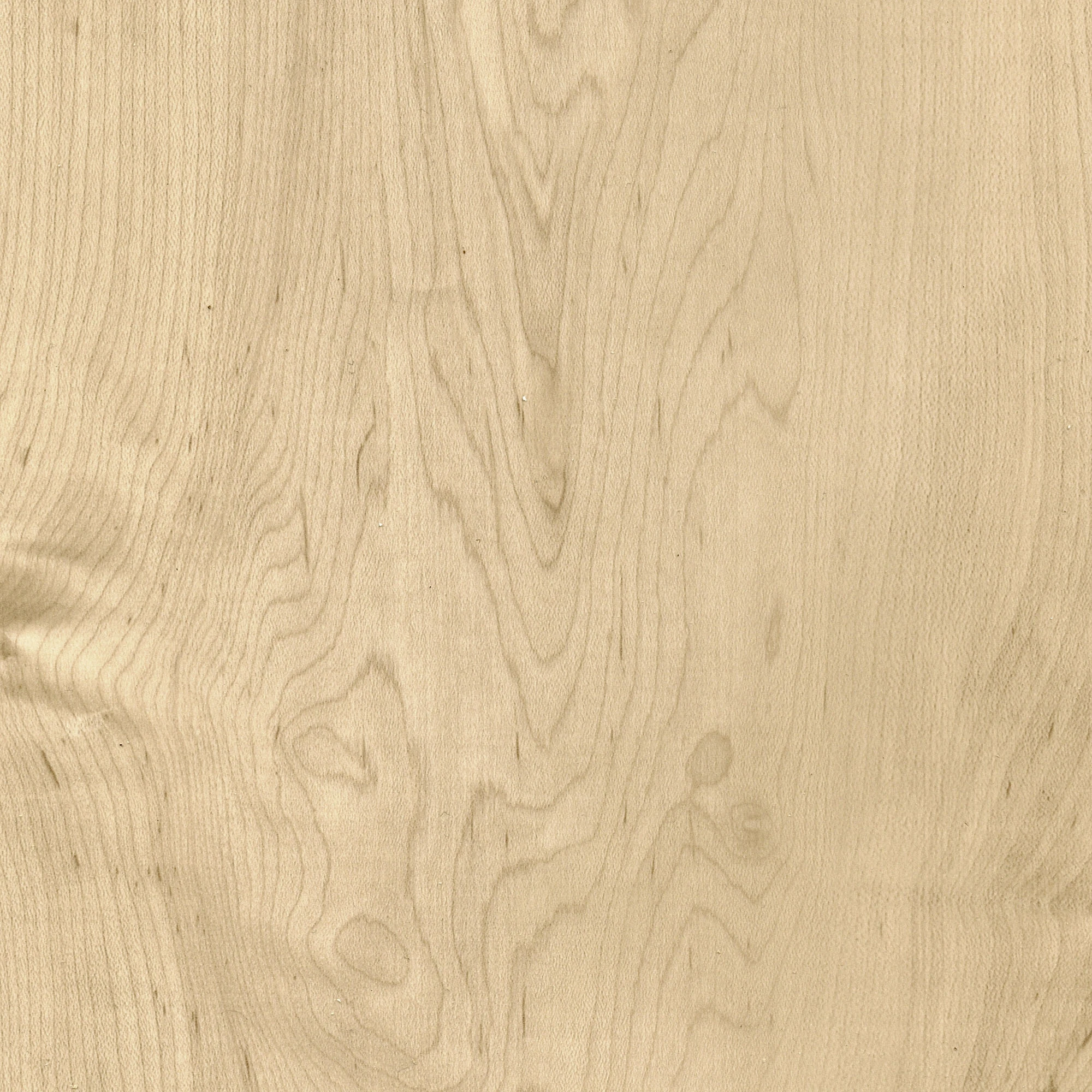 Zone 55 LVT Vinyl Newport Ash